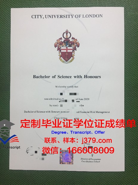 里尔大学毕业证补办(里尔大学毕业证补办需要多久)