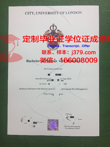 里尔电信学院毕业证封面(里尔电信学院毕业证封面图片)