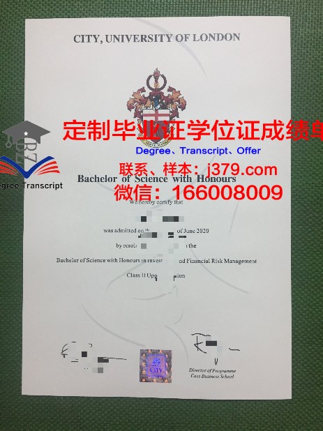 那不勒斯费德里克二世大学的毕业证都能做