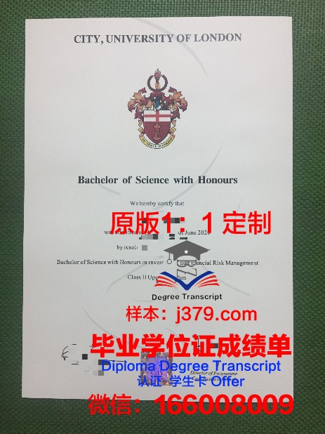 里尔第二大学毕业证原件(二学历毕业证丢了怎么办)