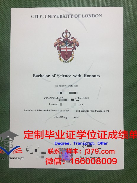 曼隆商学院毕业证diploma