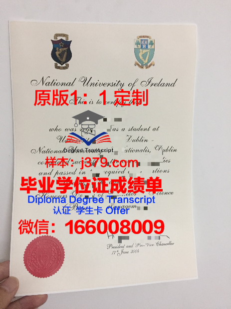 都柏林城市大学校园卡(都柏林城市大学qs)