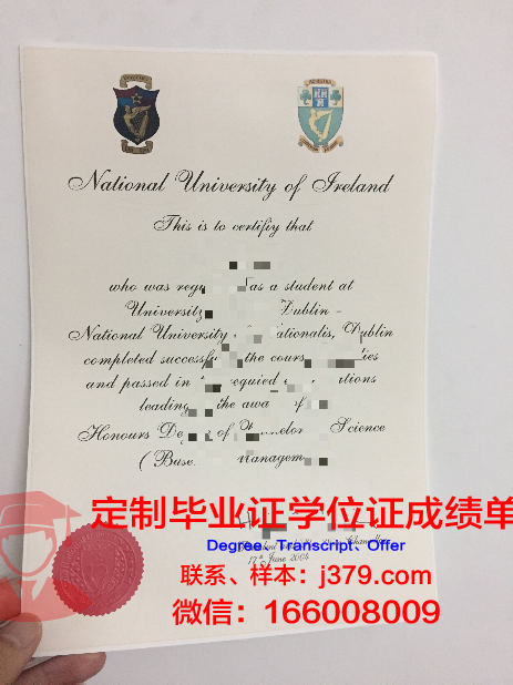 都柏林理工大学研究生毕业证(都柏林理工学院教师)