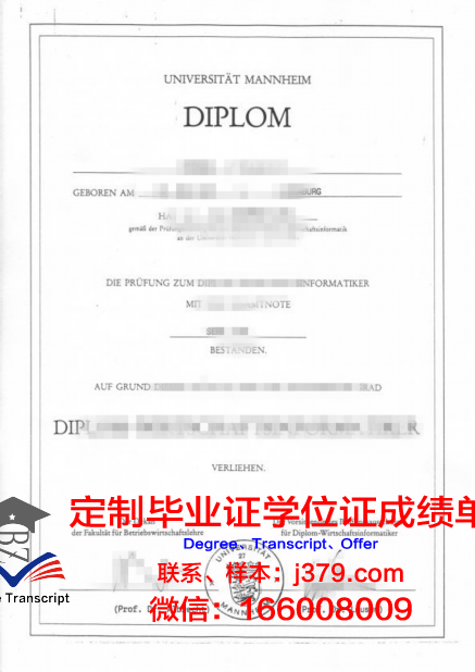 曼海姆应用技术大学本科毕业证(曼海姆大学mmm)