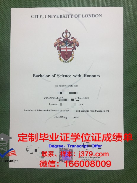 朱拉隆功大学本科毕业证：一份承载荣誉与梦想的证书